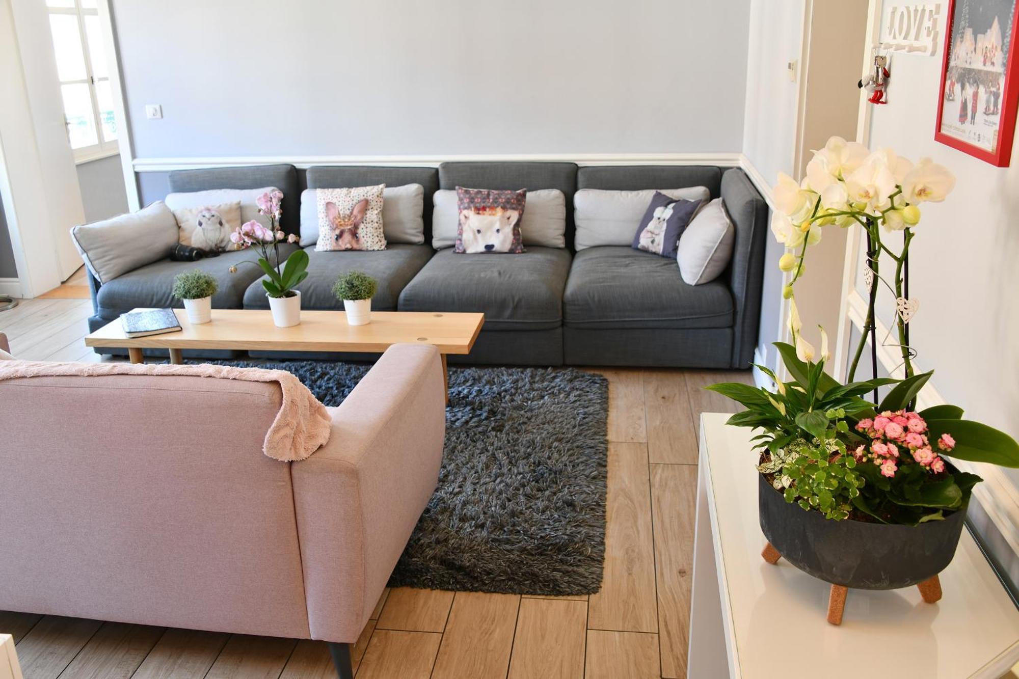 Appartement The Fairytale - Petite Venise 科尔马 外观 照片
